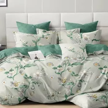 Постельное белье евростандарт, простыня 220х240 см, 2 наволочки 50х70 см, пододеяльник 200х220 см, Cleo, поплин, коллекция Pure Cotton, 32/252-PC