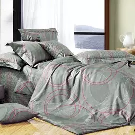 Постельное белье евростандарт, простыня 230х240 см, 2 наволочки 50х70 см, пододеяльник 200х220 см, Cleo, сатин, коллекция Satin de Luxe, 32/029-SLL