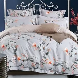 Постельное белье евростандарт, простыня 230х250 см, 2 наволочки 70х70 см, пододеяльник 200х220 см, Cleo, сатин, коллекция Satin de Luxe, 31/0013-SK