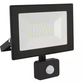Прожектор светодиодный, Ultraflash, LFL-3002S C02, 30 Вт, 6500 К, IP65, 2100 Лм, с датчиком движения, черный