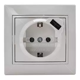 Розетка скрытой установки, 1 гнездо, без заземления, белая, + USB, Lezard, Mira, 701-0202-181