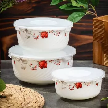 Салатник стеклокерамика, круглый, 3 шт, 14. 16. 19 см, 0.5, 0.8, 1.4 л, с крышкой, Вероника, Daniks