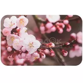 Салфетка для стола пластик, 41х26 см, прямоугольная, Сакура 11