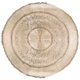 Салфетка для стола полимер, 38х38 см, круглая, коричневая, Y4-5556