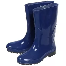 Сапоги для женщин, резина, синие, р. 36, 015.1