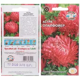 Семена Астра Опалфойер в цветной упаковке Седек