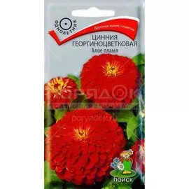 Семена Цветы, Цинния, Алое пламя, 0.4 г, георгиноцветковая, цветная упаковка, Поиск