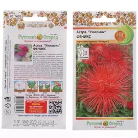 Семена Цветы, Астра, Феникс, 0.3 г, Унилюкс, цветная упаковка, Русский огород