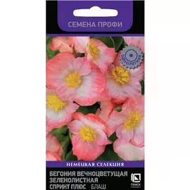 Семена Цветы, Бегония, Вечноцетущая зеленолистная, 10 шт, Спринт Плюс Вайт, семена Профи, цветная упаковка, Поиск