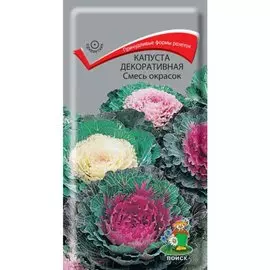 Семена Цветы, Капуста декоративная, Смесь окрасок, 0.25 г, цветная упаковка, Поиск