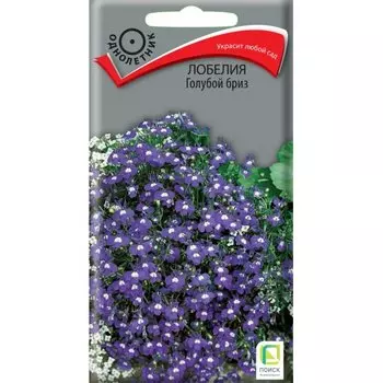 Семена Цветы, Лобелия, Голубой бриз, 0.1 г, цветная упаковка, Поиск