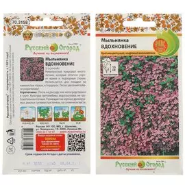 Семена Цветы, Мыльнянка, Вдохновение, 0.1 г, цветная упаковка, Русский огород