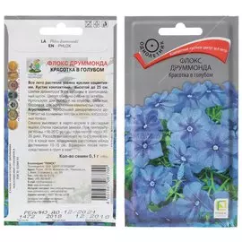 Семена Цветы, Флокс, Друммонда Красотка в голубом, 0.1 г, цветная упаковка, Поиск