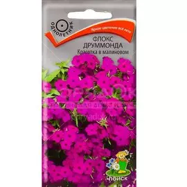 Семена Цветы, Флокс друммонд, Красотка в малиновом, 0.1 г, цветная упаковка, Поиск