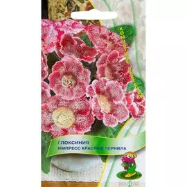 Семена Цветы, Глоксиния, Импресс Красные чернила, 5 шт, цветная упаковка, Поиск