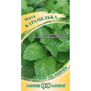 Семена Мята, Карамелька, 0.05 г, Семена от автора, цветная упаковка, Гавриш