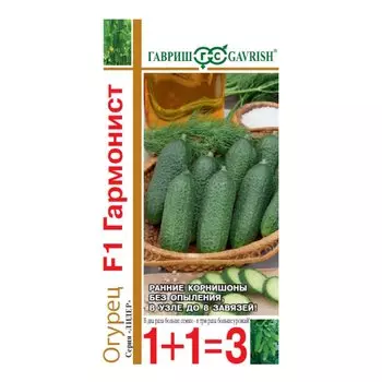 Семена Огурец, Гармонист F1, Семена от автора, Лидер 1+1=3, корнишон, цветная упаковка, Гавриш