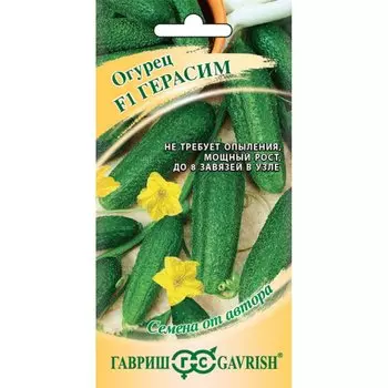 Семена Огурец, Герасим F1, Семена от автора, корнишон, цветная упаковка, Гавриш