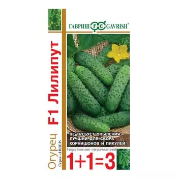 Семена Огурец, Лилипут F1, Семена от автора, Лидер 1+1=3, пикуль, цветная упаковка, Гавриш