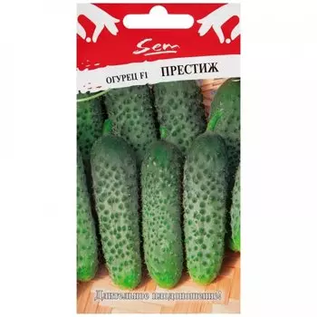Семена Огурец, Престиж F1, 10 шт, цветная упаковка, Русский огород