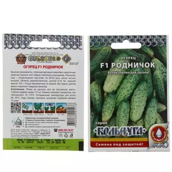 Семена Огурец, Родничок F1, 12 шт, Кольчуга, цветная упаковка, Русский огород