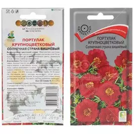 Семена Цветы, Портулак, Крупноцветковый Солнечная страна вишнёвый, 0.1 г, цветная упаковка, Поиск