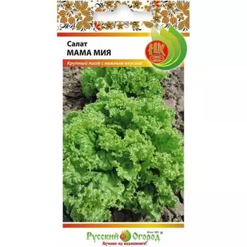 Семена Салат листовой, Мама Мия, 0.3 г, цветная упаковка, Русский огород