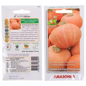 Семена Тыква крупноплодная, Амазонка, цветная упаковка, Поиск