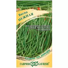Семена Вигна, Нежная Н21, 10 шт, авторские, цветная упаковка, Гавриш