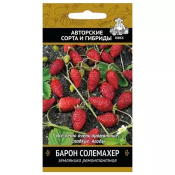 Семена Земляника, Барон Солемахер, ремонтантная, цветная упаковка, Поиск