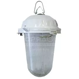 Светильник TDM Electric, НСП 02-200-021.01 У2, 200 Вт, E27, IP52, без решетки, стекло, крюк, в сборе, индивидуальная упаковка, белый, SQ0310-0011