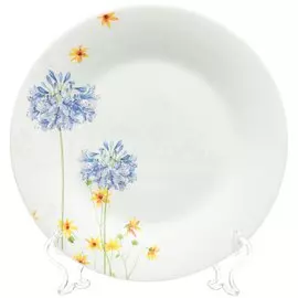 Тарелка десертная стеклокерамическая, 228 мм, Прованс LFBP-90/180504 Daniks