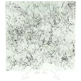 Тарелка обеденная, стекло, 24.5 см, квадратная, Y3-1633, черно-белая