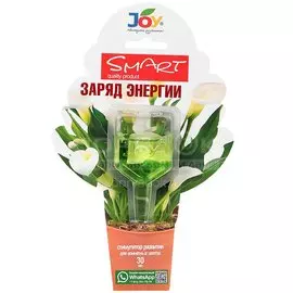 Удобрение Заряд энергии, стимулятор для комнатных цветов, минеральное, жидкость, 30 мл, Joy