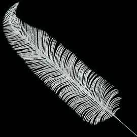 Украшение декоративное 58х12 см, белое, Перо, SYCZA-3820200