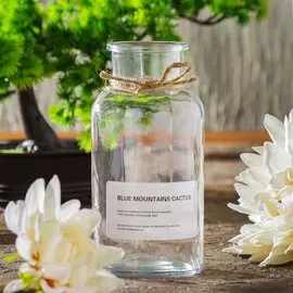 Ваза стекло, настольная, 16х5.5 см, Y4-5554