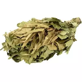 Веник банный дуб, с эвкалиптом, в упаковке, Банные штучки, 32103