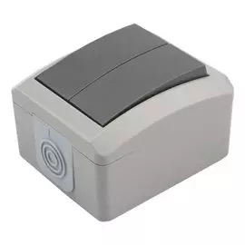 Выключатель открытой установки, двухклавишный, 10 А, 220-250 В, пластик, IP54, серый, Kranz, INDUSTRIAL, KR-78-0609