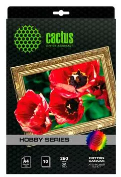 Холст Cactus CS-CA426010 A4 260г/м2 10л.