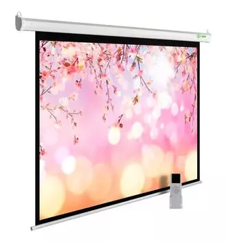 Экран рулонный Cactus MotoExpert CS-PSME-220x220-WT