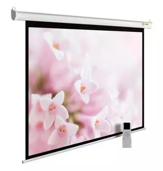 Экран рулонный Cactus MotoExpert CS-PSME-240x240-WT