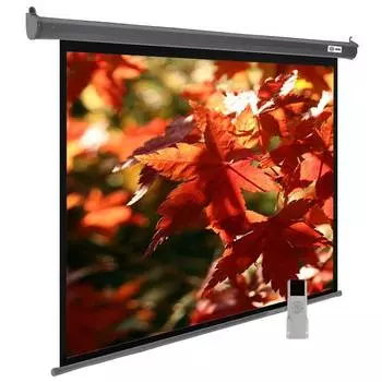 Экран рулонный Cactus SIlverMotoExpert CS-PSSME-200X150-DG