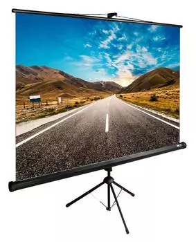 Экран рулонный Cactus TriExpert CS-PSTE-160x160-BK