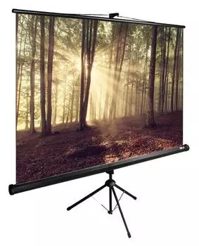 Экран рулонный Cactus TriExpert CS-PSTE-180x135-BK
