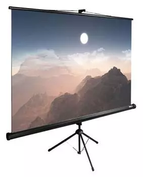 Экран рулонный Cactus TriExpert CS-PSTE-180x180-BK