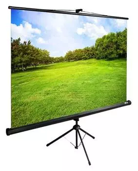 Экран рулонный Cactus TriExpert CS-PSTE-200x150-BK