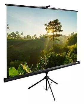 Экран рулонный Cactus TriExpert CS-PSTE-200x200-BK