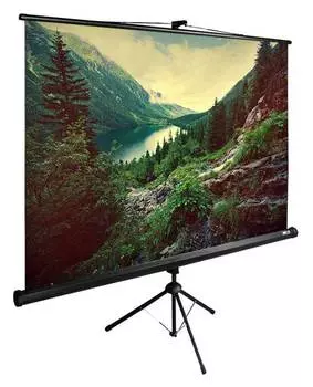 Экран рулонный Cactus TriExpert CS-PSTE-220x220-BK