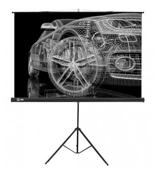 Экран рулонный Cactus Triscreen CS-PST-124x221