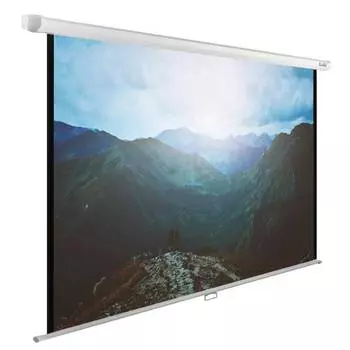 Экран рулонный Cactus WallExpert CS-PSWE-240x240-WT